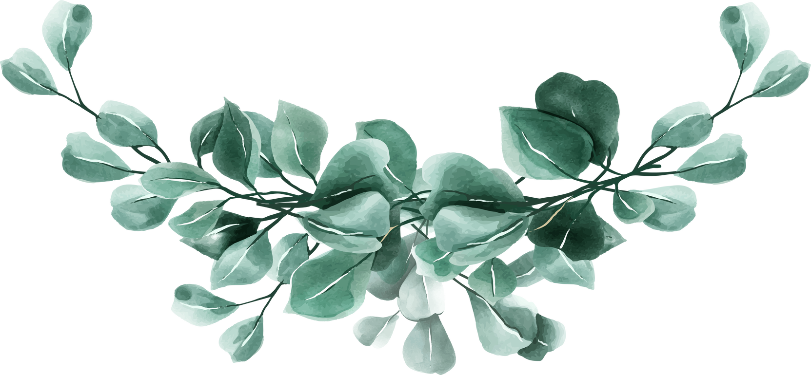 Watercolor Eucalyptus Green Leaf (7)